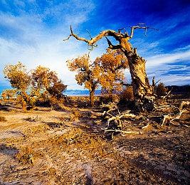 《原子之心》更新为PC版上调帧率上限至500